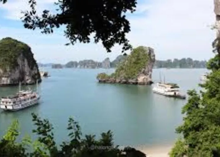 Khách sạn 2 Sao Trung Tâm Khu Du Lịch Vườn đào - Bãi Cháy - 2*